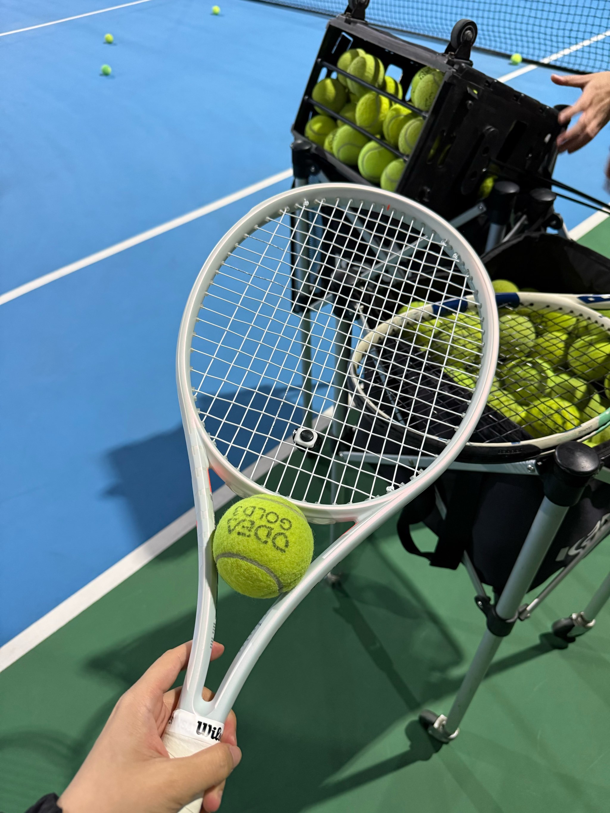 的这一场比 的这一场比