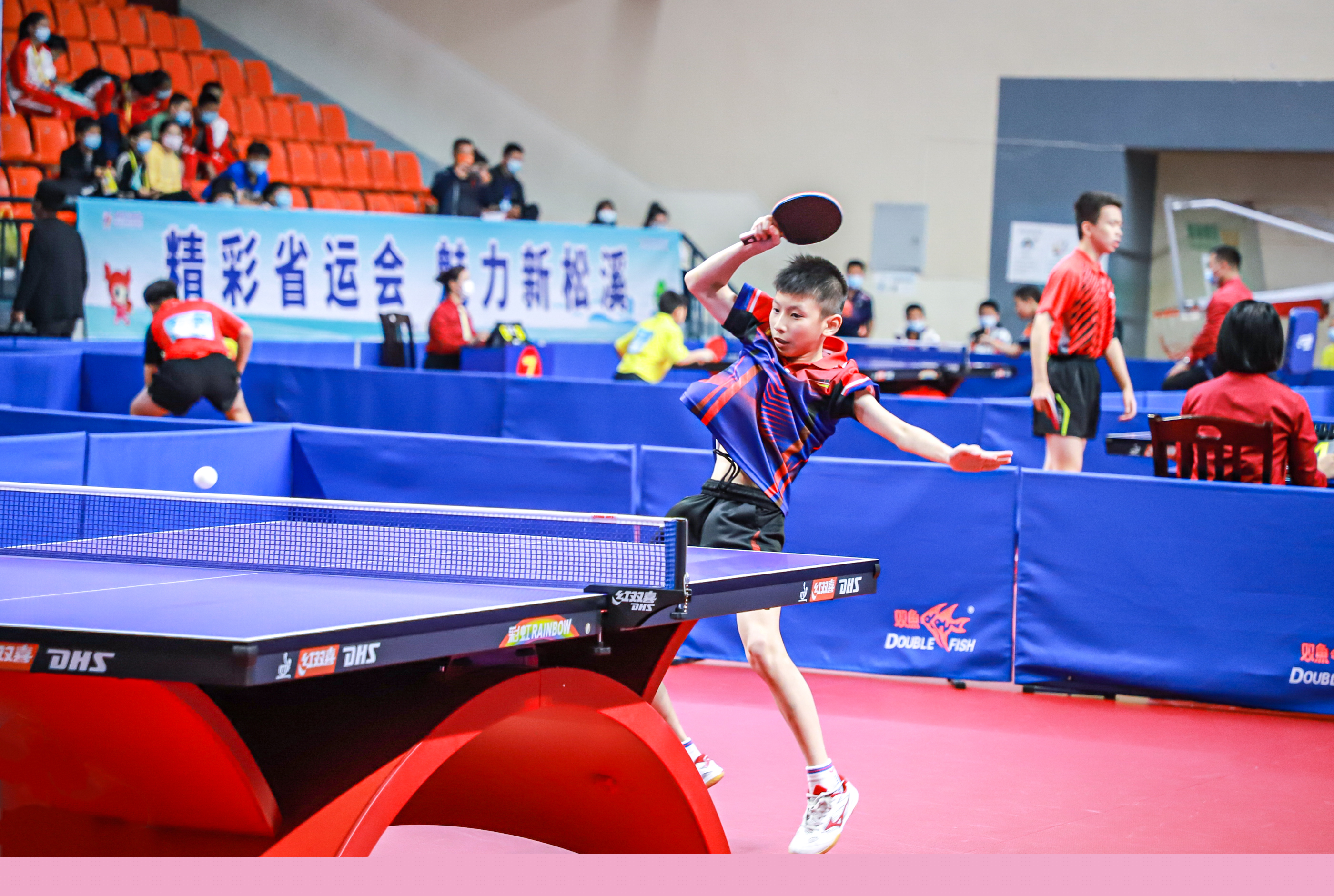 回家从不是 回家从不是